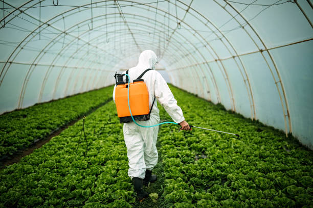Best Local Pest Control Services  in Clarkston, GA