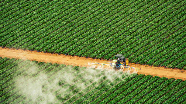 Best Termite Control Services  in Clarkston, GA