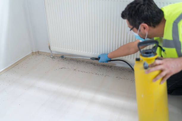 Best Pest Inspection Near Me  in Clarkston, GA