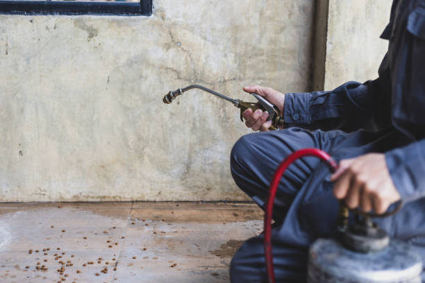 Best Termite Control Services  in Clarkston, GA