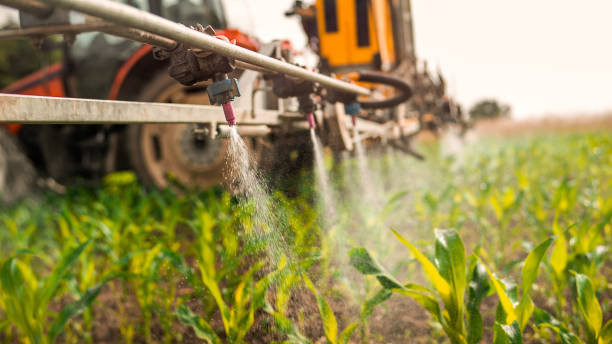 Best Ant Control Services  in Clarkston, GA